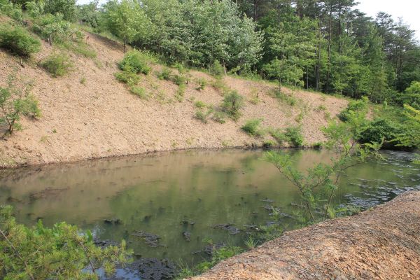 Pond Erosion Repair in Pocatello